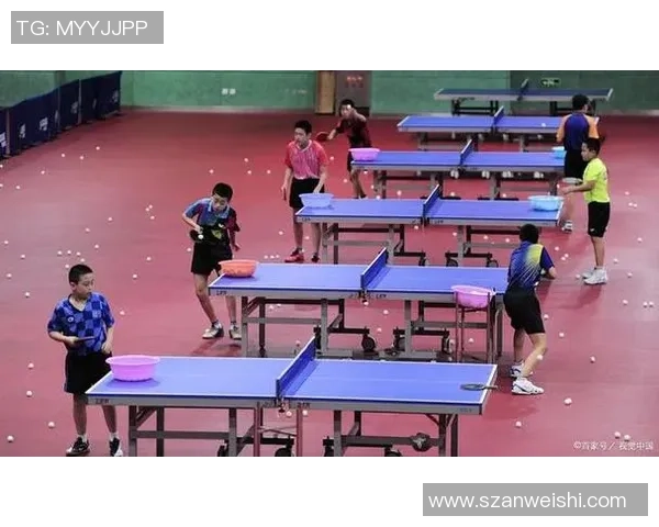 周磊独家分享乒乓球技巧与心得助你提升球技的秘诀与经验