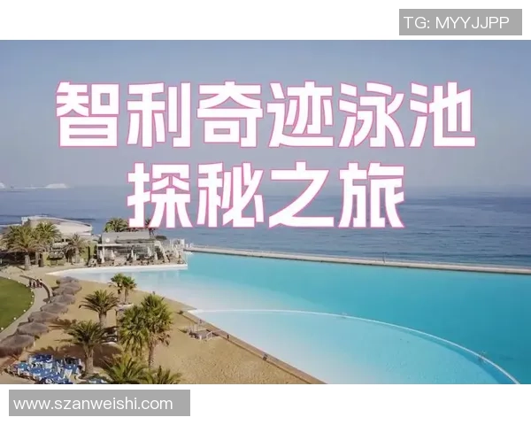 杭州足球队的节奏解析与战术深度剖析探秘之旅